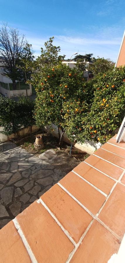 Appartement Entier Au Dessus De Villa, Climatisation Reversible Poele A Bois Tres Chaleureux , Wi Fi Parking Privee Gratuit Situation 500 M, Plage Et Centre Ville Sanary-sur-Mer Exterior photo
